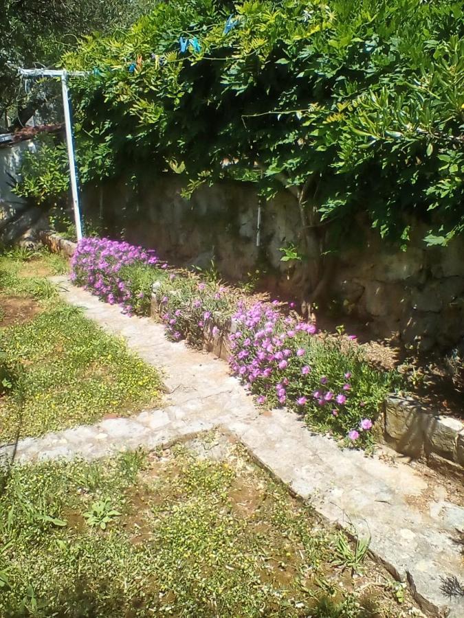 apartman-maja-krk Krk Town Bagian luar foto